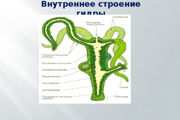 Адрес крамп в тор онион kraken6.at kraken7.at kraken8.at